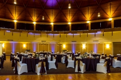 TKO Entertainment @ Astrodome of Parma