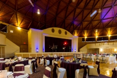 TKO Entertainment @ Astrodome of Parma