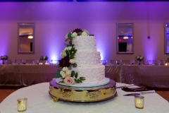 TKO Entertainment  www.tkoentertainment.com "We Bring The Party!"