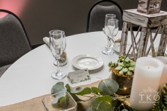 TKO Entertainment at Windows on the River