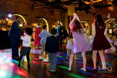 TKO Entertainment at Windows on the River
