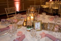 TKO Entertainment at Astrodome of Parma