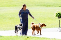 tKO Entertainment @ Gleneagles Golf Club and Events