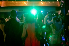 TKO Entertainment at Windows on the River