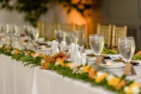 TKO Entertainment at Highfields Event Center