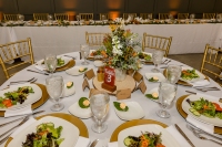 TKO Entertainment at Highfields Event Center