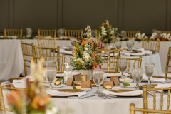 TKO Entertainment at Highfields Event Center