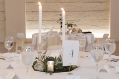 TKO Entertainment at Gordon Green