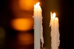 TKO Entertainment at Gordon Green