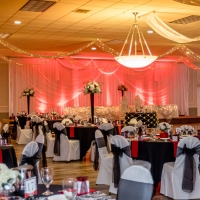 TKO Entertainment at St. Demetrios