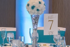 TKO Entertainment at Sheraton Suites Akron-Cuyahoga Falls