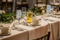 TKO Entertainment at Window on the River