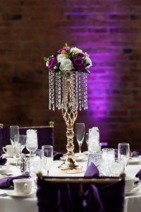 TKO Entertainment at Windows on the River