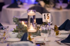 TKO Entertainment at St. Paul Hellenic