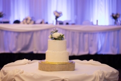 TKO Entertainment at St. Paul Hellenic