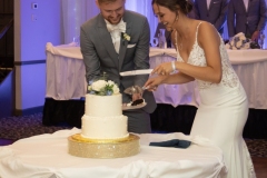 TKO Entertainment at St. Paul Hellenic