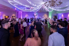 TKO Entertainment at St. Paul Hellenic