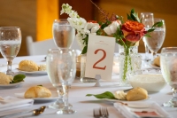 TKO Entertainment at Allardale Lodge