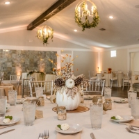 TKO Entertainment at Sun Valley