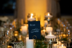 TKO Entertainment at Blue Heron