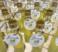 Photo-Jun-07-2025-7-04-36-PM