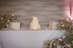 TKO Entertainment at St. Clair Ballroom