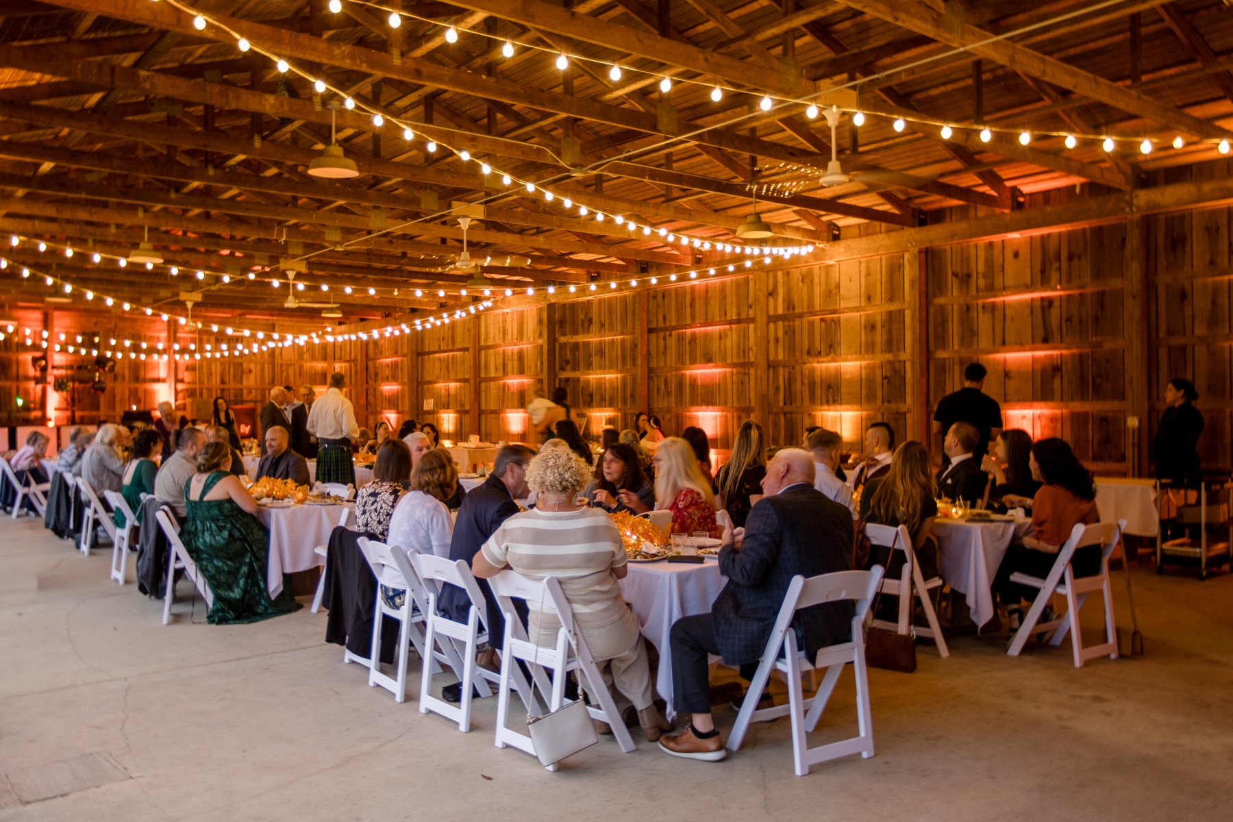 TKO-Entertainment_Hale-Farm_397A4936